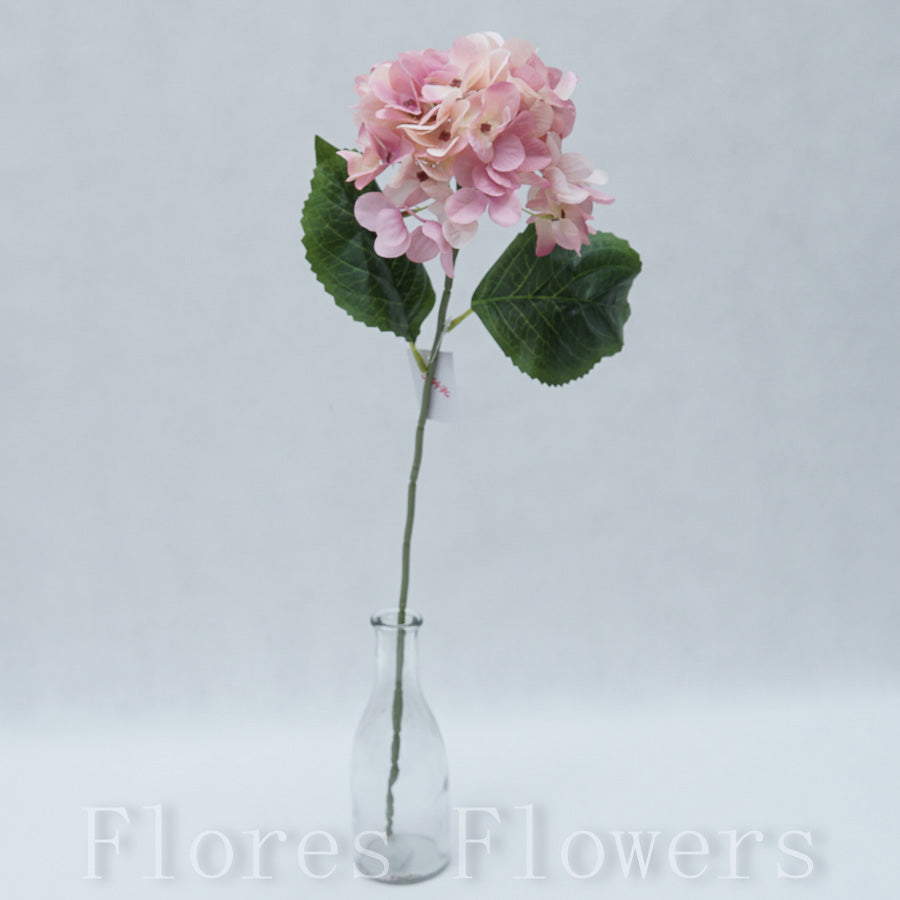 Hortenzia 60 cm