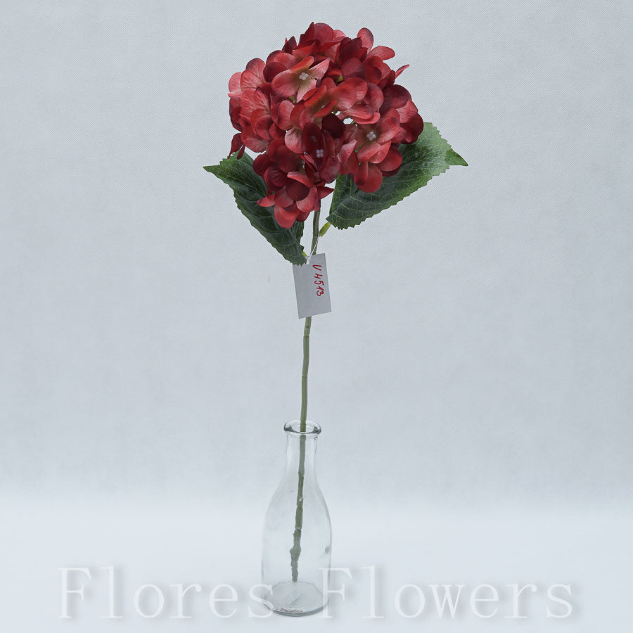 Hortenzia 60 cm