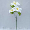 Trs ľalia x3, 55cm