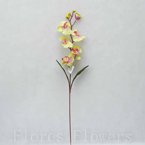 Orchidea 75cm