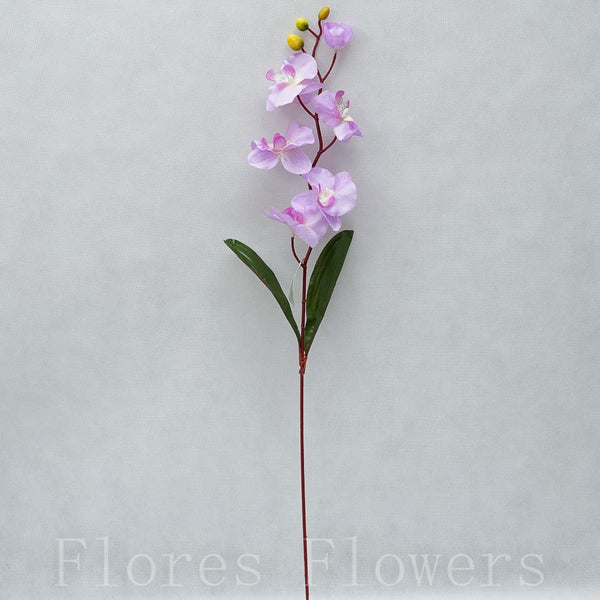 Orchidea 75cm