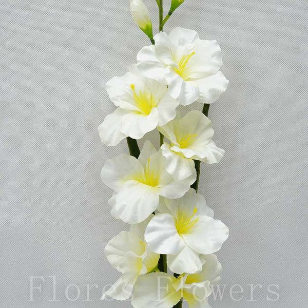 Gladiol 78 cm, KRÉMOVÁ