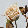 Konár ruža 71cm