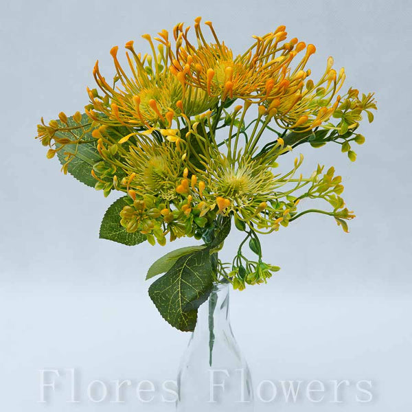 Trs protea 30 cm