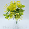 Trs protea 30 cm