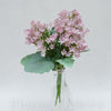 Trs kalanchoe 30 cm, MIX FARIEB