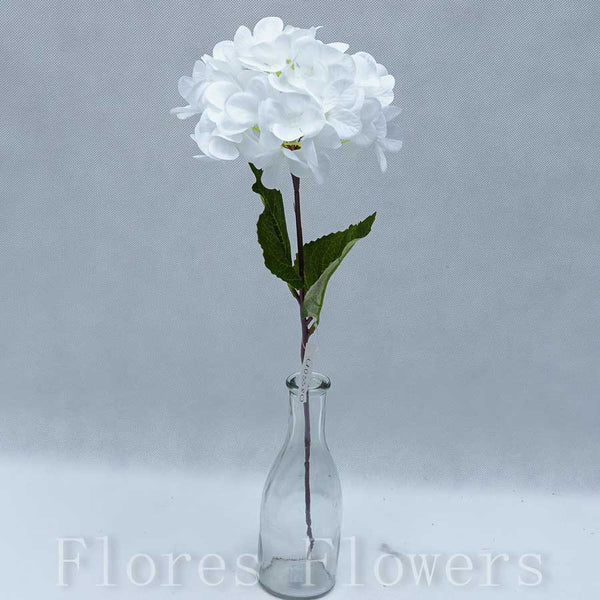 Hortenzia biela, 40cm