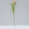 Tulipán plastový s listom, 43 cm, MIX FARIEB