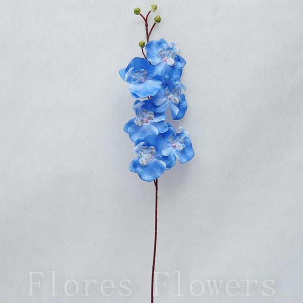 Orchidea stopková 70cm, modrá