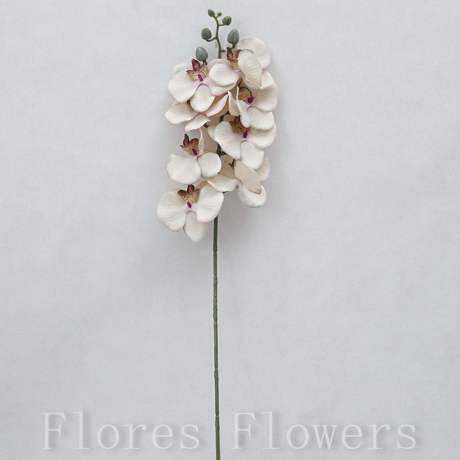 Orchidea 76 cm, šedá