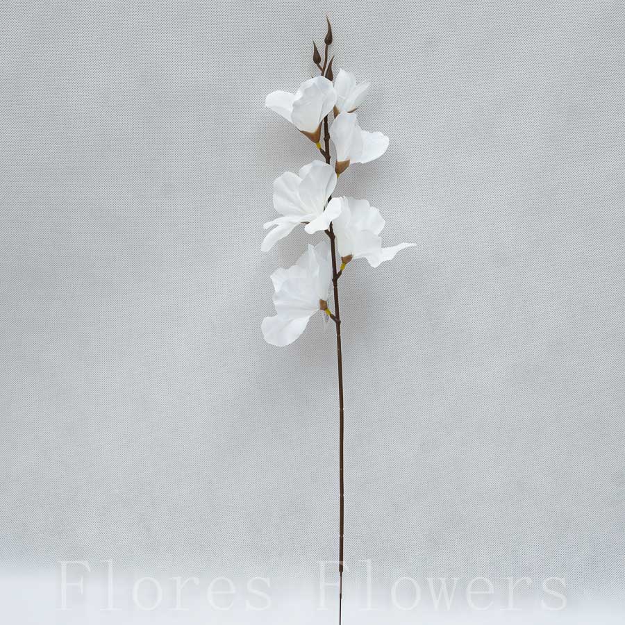 Gladiola biela, 48cm