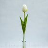 Tulipán 54cm