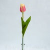 Tulipán 54cm