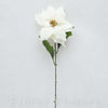 Kvet Poinsettia 70cm, kvet 20cm