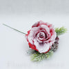 Ruža s čečinou, zasnežená 24 cm, ČERVENÁ