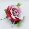 Ruža s čečinou, zasnežená 24 cm, ČERVENÁ