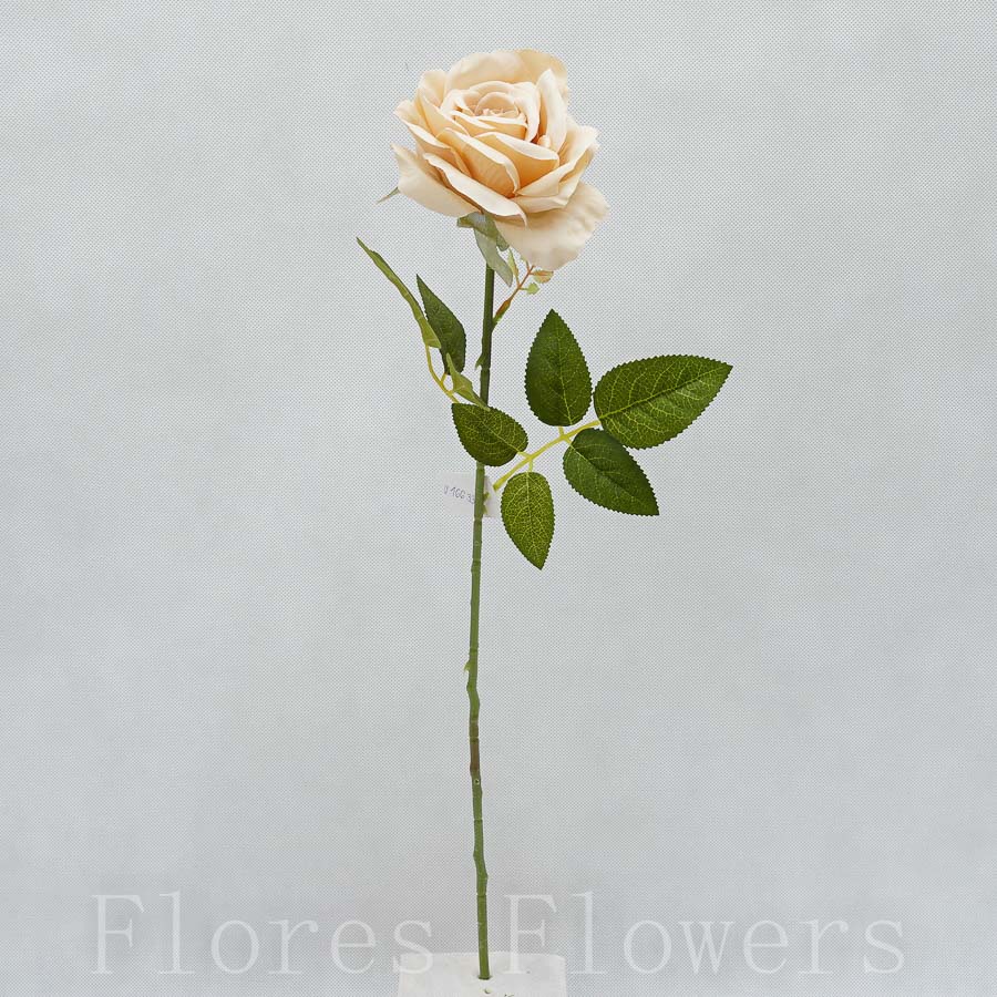 Ruža 60cm ČAJOVÁ