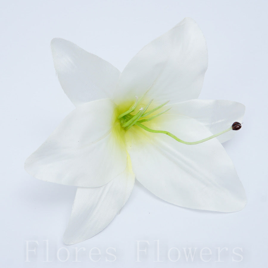 Ľalia 13 cm, KRÉMOVÁ