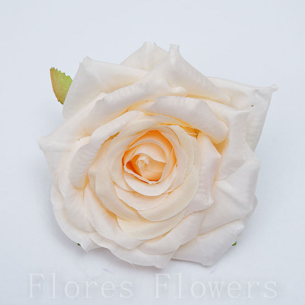 Ruža záhradná 9 cm, LOSOSVA, cena za 12ks