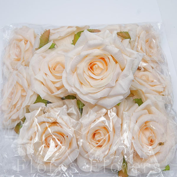 Ruža záhradná 9 cm, LOSOSVA, cena za 12ks