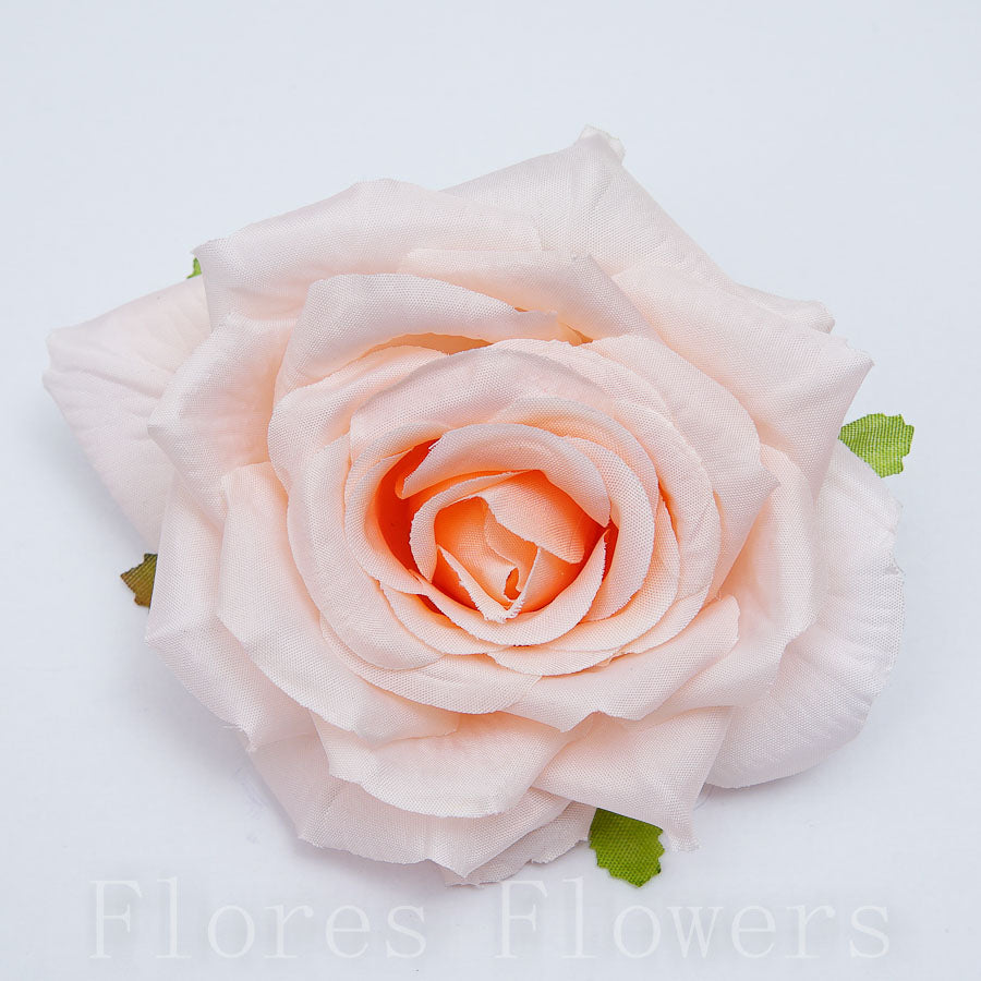 Ruža záhradná 9cm MARHUĽOVÁ, cena za 12ks