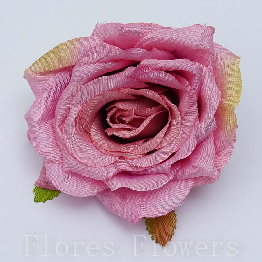 Ruža záhradná 9 cm, RUŽOVO ZELENÁ, cena za 12ks