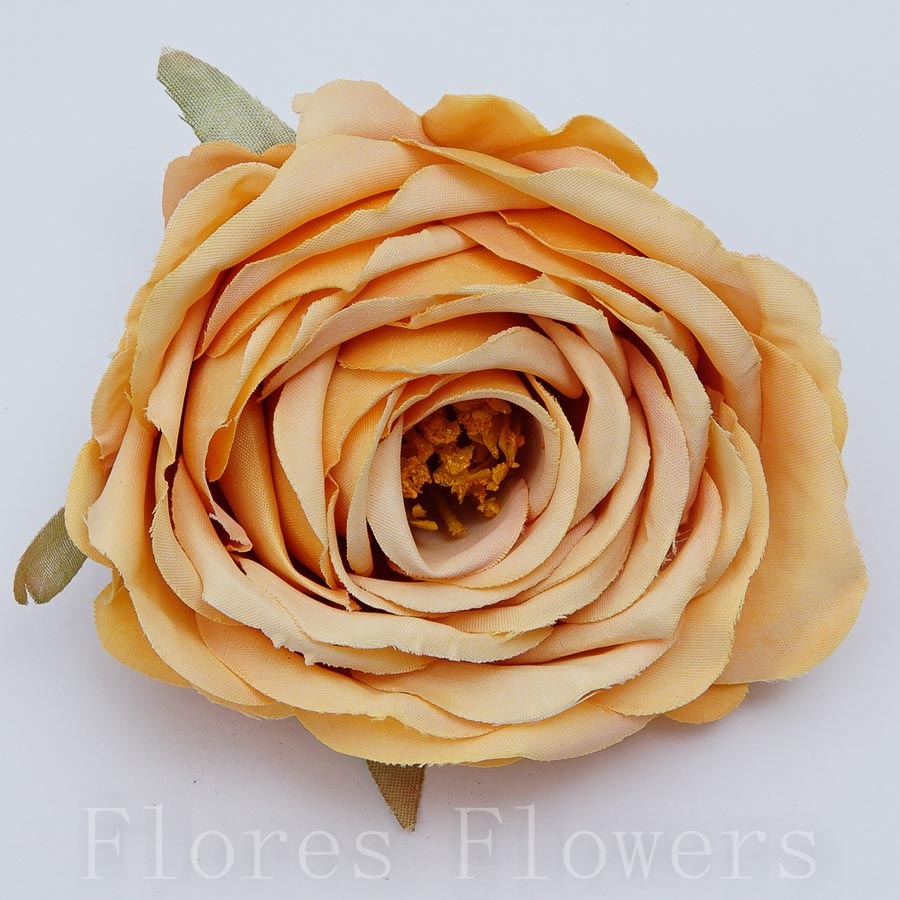 Ruža divá 8 cm, ČAJOVÁ, cena za 12ks