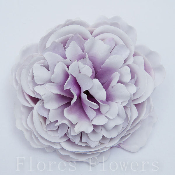 Peonia vencová 8cm, fialová,  cena za 12ks