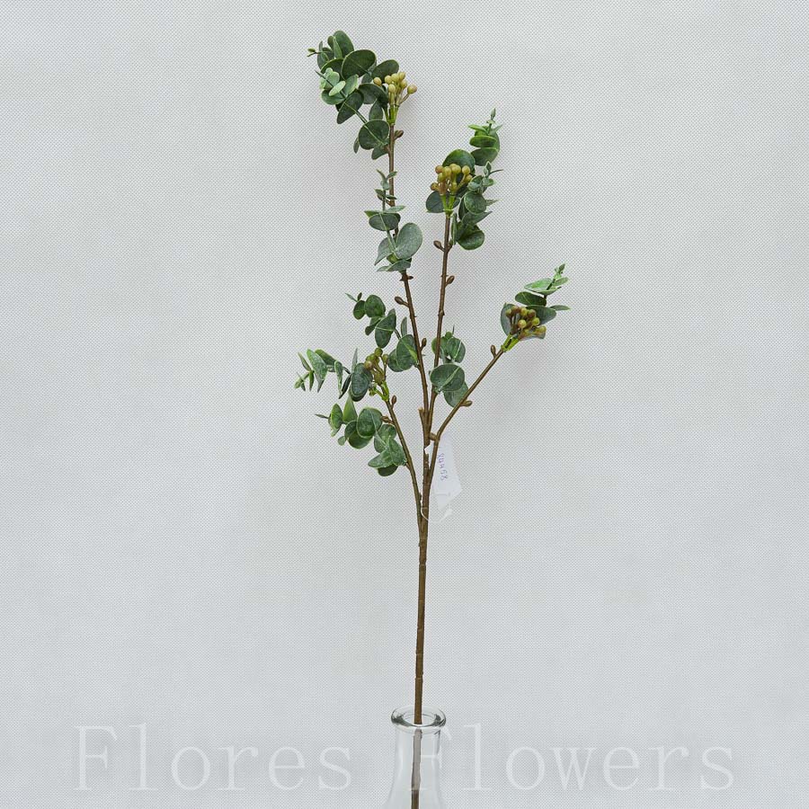 Konár eucalyptus 62 cm, MIX FARIEB