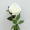 Ruža šípová 75cm, BIELA