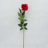 Ruža šípová 75cm, ČERVENÁ