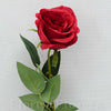 Ruža šípová 75cm, ČERVENÁ