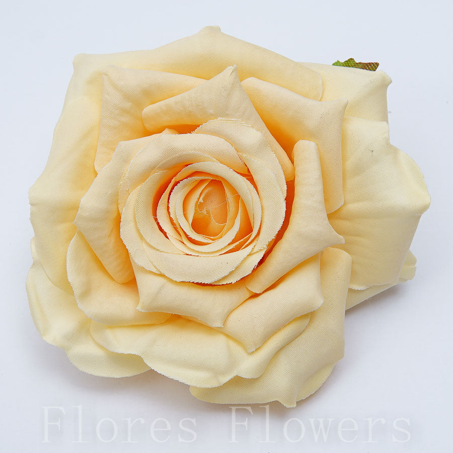 Ruža 10 cm ČAJOVÁ, cena za 12ks